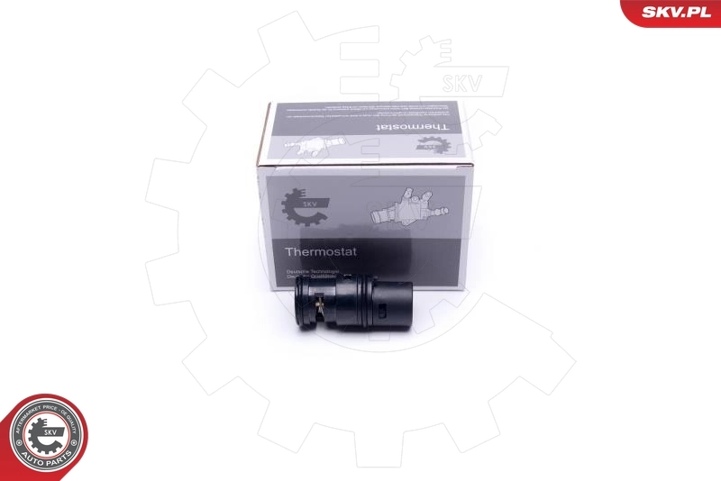 Thermostat, coolant